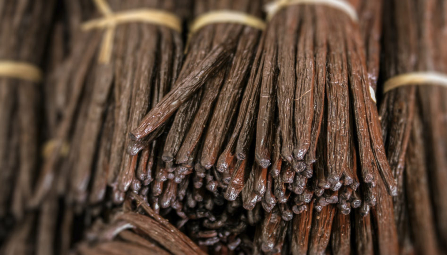 Vanilla